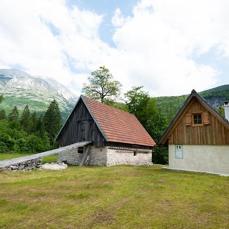 Cottages Kravanja Trenta Bagian luar foto