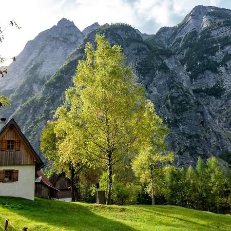 Cottages Kravanja Trenta Bagian luar foto