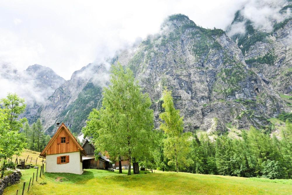 Cottages Kravanja Trenta Bagian luar foto