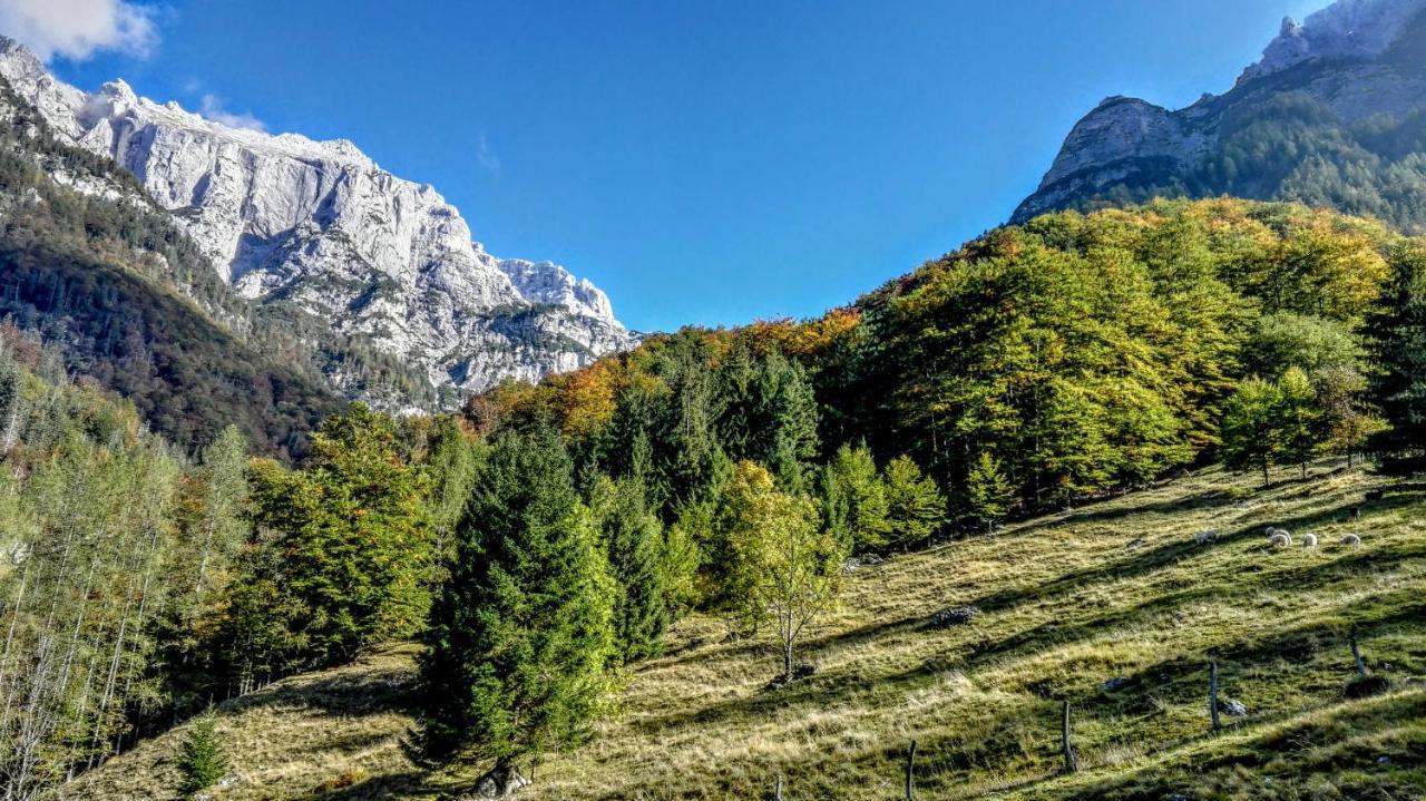 Cottages Kravanja Trenta Bagian luar foto