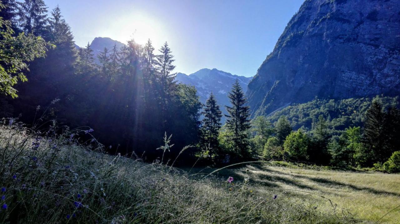 Cottages Kravanja Trenta Bagian luar foto