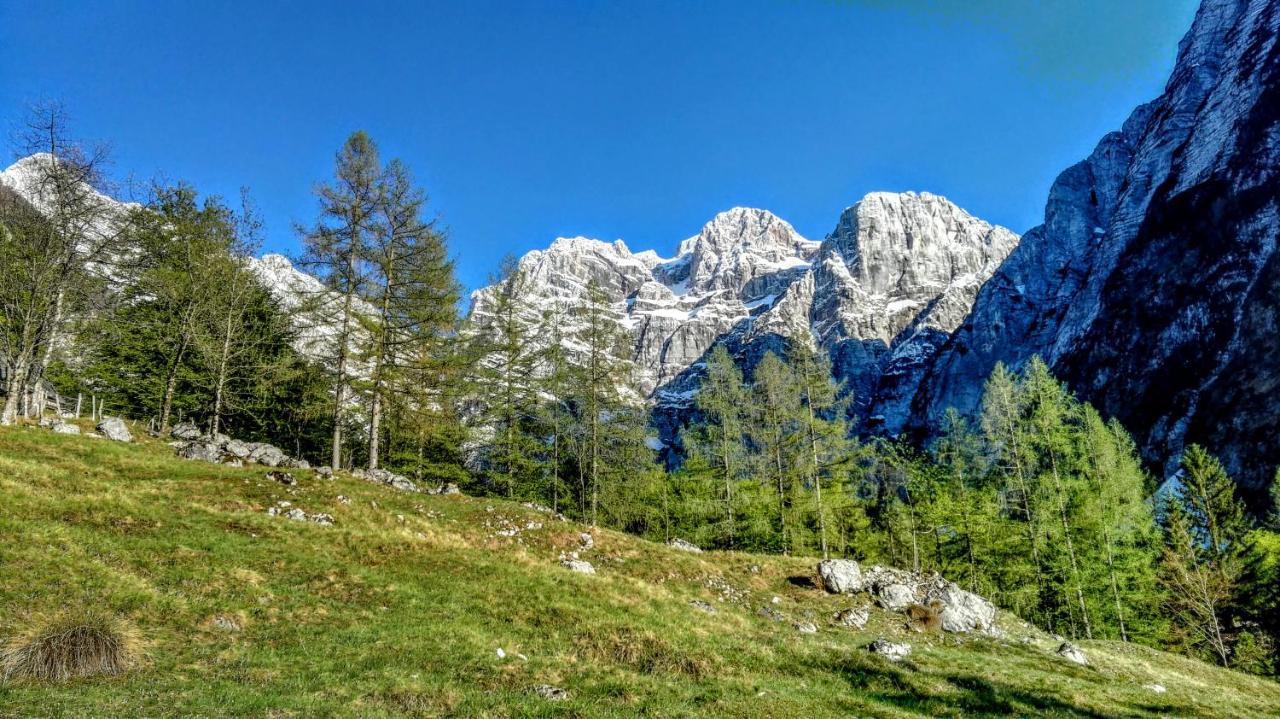 Cottages Kravanja Trenta Bagian luar foto