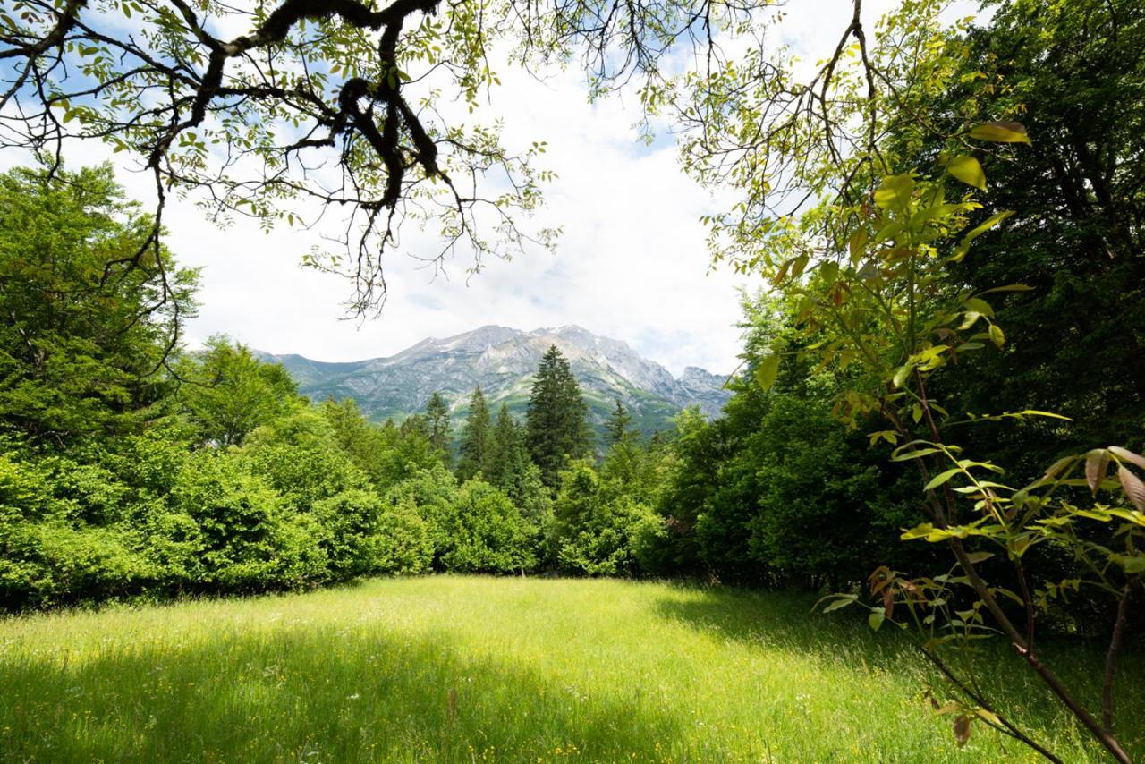 Cottages Kravanja Trenta Bagian luar foto