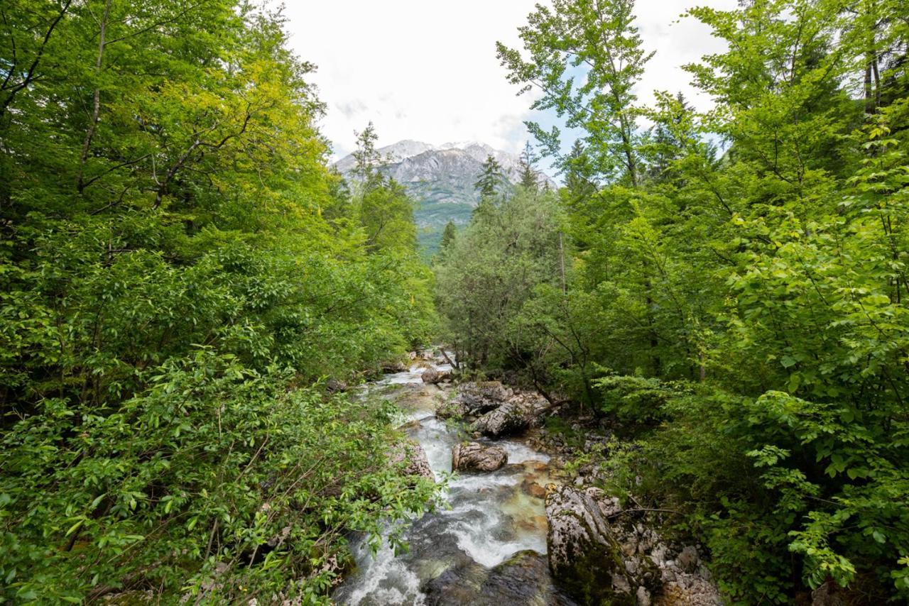 Cottages Kravanja Trenta Bagian luar foto