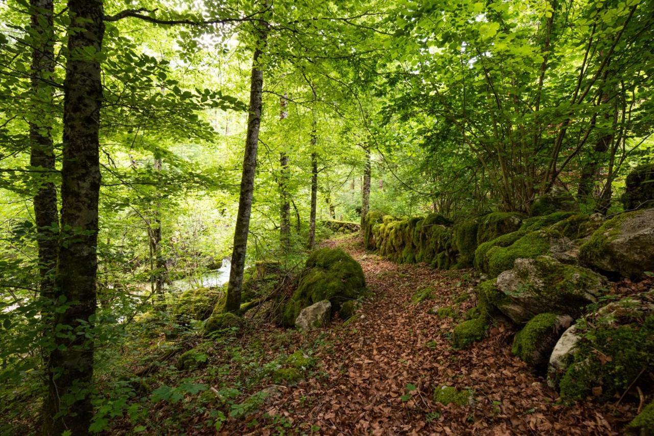 Cottages Kravanja Trenta Bagian luar foto