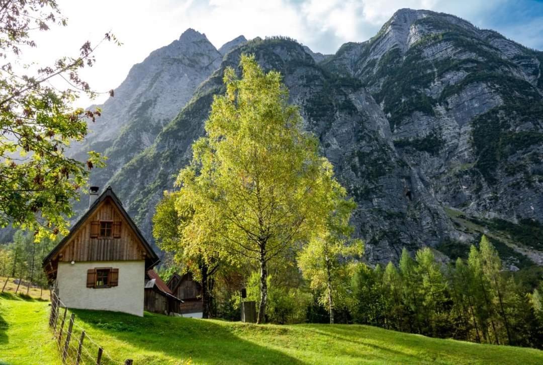 Cottages Kravanja Trenta Bagian luar foto